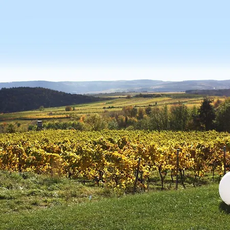 Weinblick Grafinger Alojamento de Acomodação e Pequeno-almoço Stein bei Loipersdof