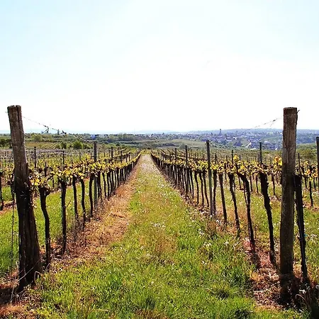 Weinblick Grafinger Alojamento de Acomodação e Pequeno-almoço *