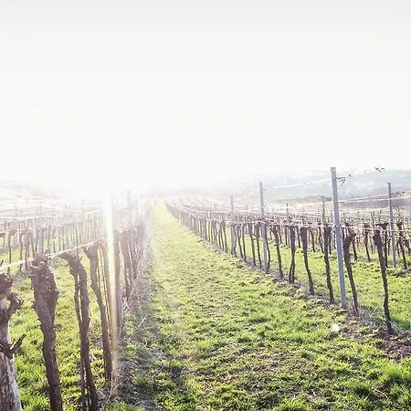 Weinblick Grafinger Alojamento de Acomodação e Pequeno-almoço