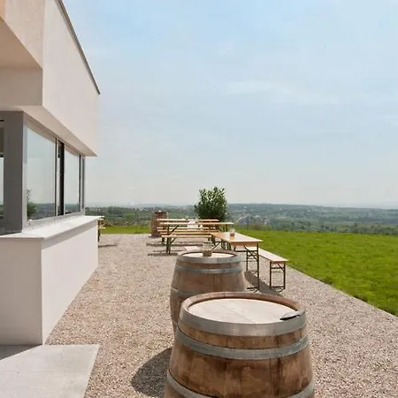 Weinblick Grafinger *