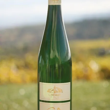 Alojamento de Acomodação e Pequeno-almoço Weinblick Grafinger