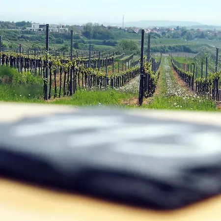 Weinblick Grafinger Alojamento de Acomodação e Pequeno-almoço Stein bei Loipersdof