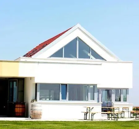 Weinblick Grafinger Stein bei Loipersdof