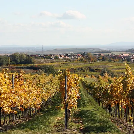 Weinblick Grafinger Stein bei Loipersdof