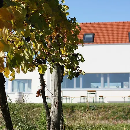 Weinblick Grafinger *