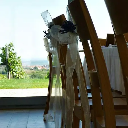 Weinblick Grafinger Stein bei Loipersdof