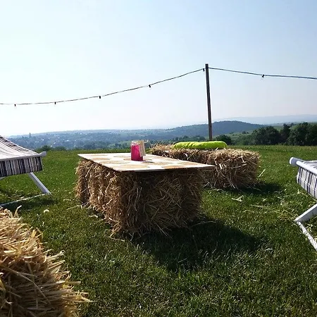 Weinblick Grafinger * Stein bei Loipersdof