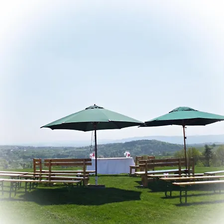 Weinblick Grafinger Stein bei Loipersdof