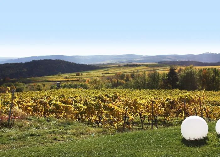 Weinblick Grafinger Panzió Stein bei Loipersdof