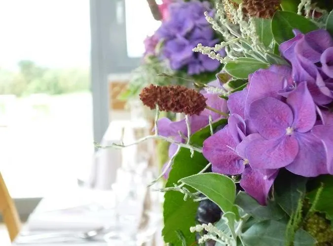 Weinblick Grafinger Alojamento de Acomodação e Pequeno-almoço Stein bei Loipersdof