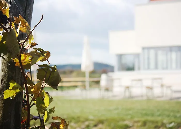 Weinblick Grafinger * Stein bei Loipersdof