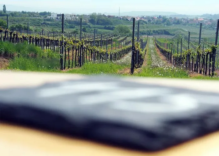 Weinblick Grafinger Alojamento de Acomodação e Pequeno-almoço Stein bei Loipersdof