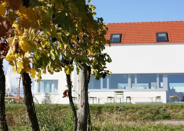 Weinblick Grafinger *