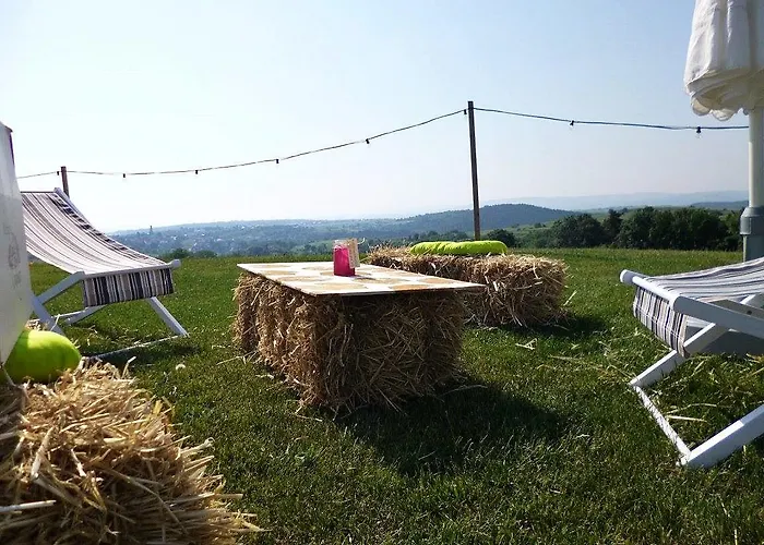 Weinblick Grafinger * Stein bei Loipersdof