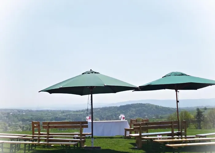 Weinblick Grafinger Stein bei Loipersdof